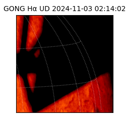 gong - 2024-11-03T02:14:02