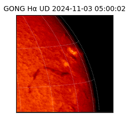 gong - 2024-11-03T05:00:02