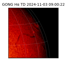 gong - 2024-11-03T09:00:22