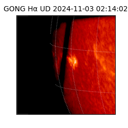 gong - 2024-11-03T02:14:02