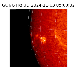 gong - 2024-11-03T05:00:02