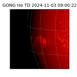 gong - 2024-11-03T09:00:22