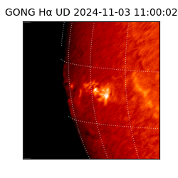 gong - 2024-11-03T11:00:02