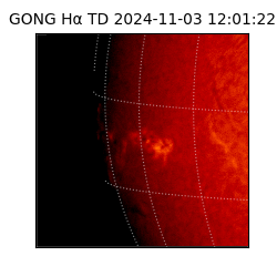 gong - 2024-11-03T12:01:22