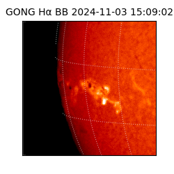 gong - 2024-11-03T15:09:02