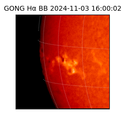 gong - 2024-11-03T16:00:02