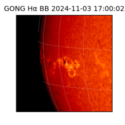 gong - 2024-11-03T17:00:02