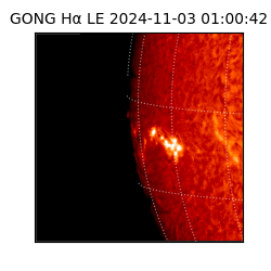 gong - 2024-11-03T01:00:42