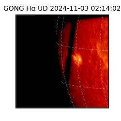 gong - 2024-11-03T02:14:02