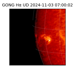 gong - 2024-11-03T07:00:02