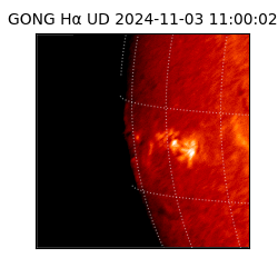 gong - 2024-11-03T11:00:02