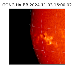 gong - 2024-11-03T16:00:02
