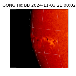 gong - 2024-11-03T21:00:02