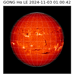 gong - 2024-11-03T01:00:42