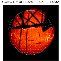 gong - 2024-11-03T02:14:02