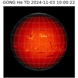 gong - 2024-11-03T10:00:22