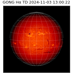gong - 2024-11-03T13:00:22