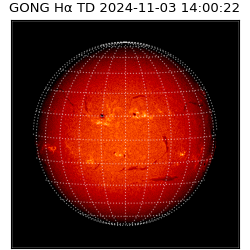 gong - 2024-11-03T14:00:22