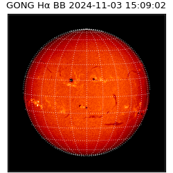 gong - 2024-11-03T15:09:02