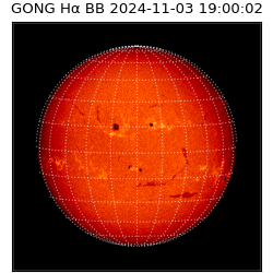 gong - 2024-11-03T19:00:02