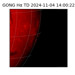 gong - 2024-11-04T14:00:22