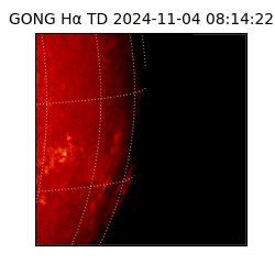 gong - 2024-11-04T08:14:22