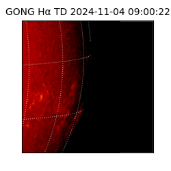 gong - 2024-11-04T09:00:22