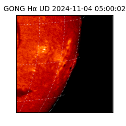 gong - 2024-11-04T05:00:02