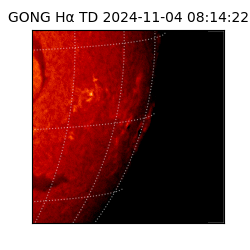 gong - 2024-11-04T08:14:22