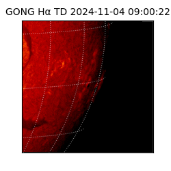 gong - 2024-11-04T09:00:22