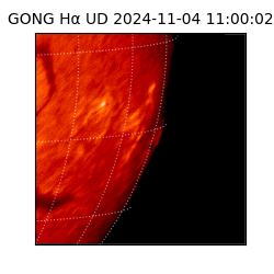 gong - 2024-11-04T11:00:02