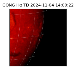 gong - 2024-11-04T14:00:22