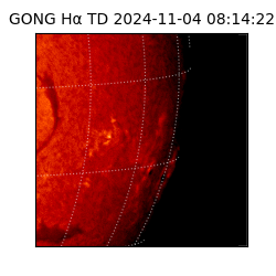 gong - 2024-11-04T08:14:22