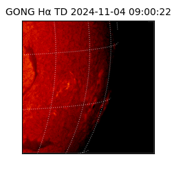 gong - 2024-11-04T09:00:22