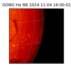 gong - 2024-11-04T16:00:02