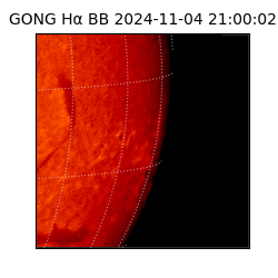 gong - 2024-11-04T21:00:02