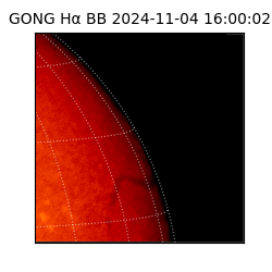 gong - 2024-11-04T16:00:02