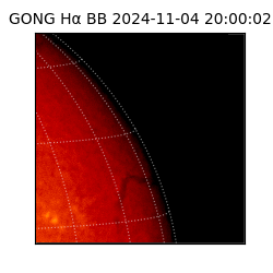 gong - 2024-11-04T20:00:02