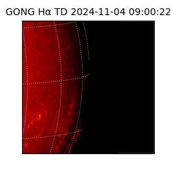 gong - 2024-11-04T09:00:22