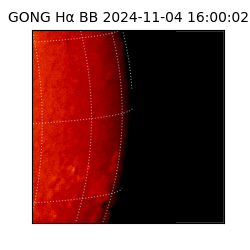 gong - 2024-11-04T16:00:02