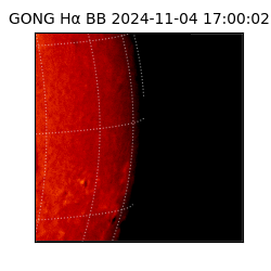 gong - 2024-11-04T17:00:02