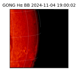 gong - 2024-11-04T19:00:02