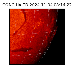 gong - 2024-11-04T08:14:22