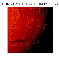 gong - 2024-11-04T09:00:22