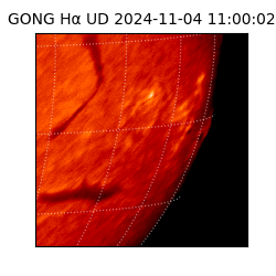 gong - 2024-11-04T11:00:02