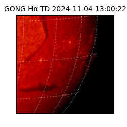 gong - 2024-11-04T13:00:22