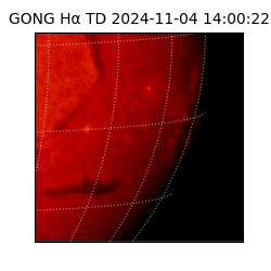 gong - 2024-11-04T14:00:22