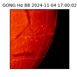 gong - 2024-11-04T17:00:02