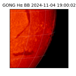 gong - 2024-11-04T19:00:02