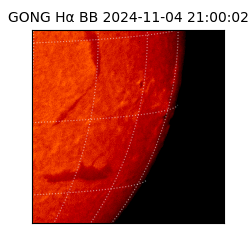 gong - 2024-11-04T21:00:02